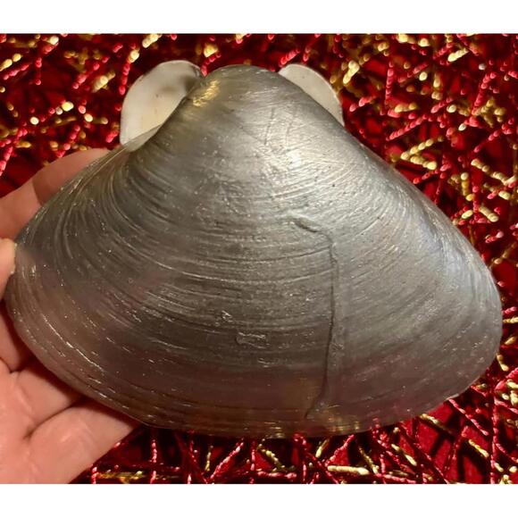 Shell Inspired Ring Dish - Picture 4 of 4